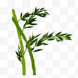 国画手绘绿色竹子