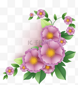 紫色立体花卉和叶片