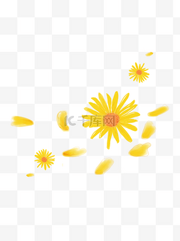 黄色菊花花瓣飘浮元素可商用