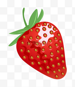 大个的草莓手绘插画