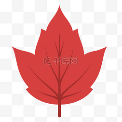 矢量红色叶子图片_一片扁平化的卡通叶子