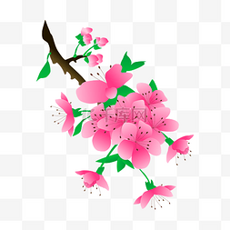 粉色手绘花朵背景图片_矢量免扣卡通桃花