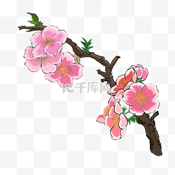 桃花朵朵开图片_卡通手绘春天桃花插画