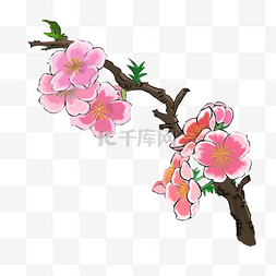 真花朵图片_卡通手绘春天桃花插画