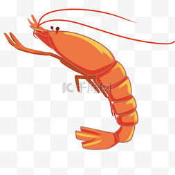 虾红虾仁海洋生物