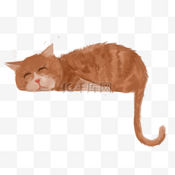 趴着睡着的棕色花纹猫咪免扣图