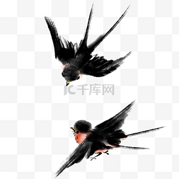 黑色的燕子图片_家燕水墨燕子插画