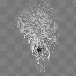 蛛丝图片_蛛线丝网状效果创意设计