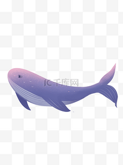 鲸鱼手绘插画图片_紫色唯美鲸鱼设计可商用元素