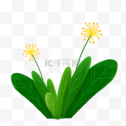清新植物绿叶子图片_手绘美丽植物绿草