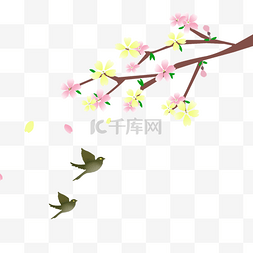 小飞鸟图片_春季樱花与飞鸟免抠