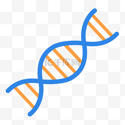 基因链图片_一段手绘的基因链