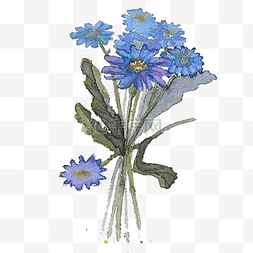 蓝紫色系图片_手绘水彩蓝紫色系雏菊花朵花束免