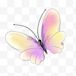 彩色蝴蝶手绘装饰图案