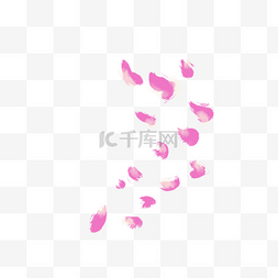 网页图片_治愈小清新手绘粉色玫瑰花瓣
