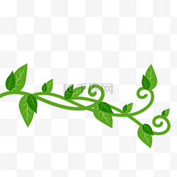 蔓藤植物图片_绿色植物叶子蔓藤