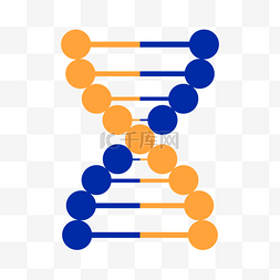 DNA双螺旋分子生物学