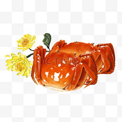 十月您好图片_中秋手绘美食大闸蟹插画