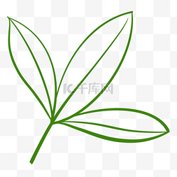立秋logo图片_叶子纹路椰子树叶子