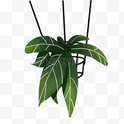 吊着的图片_手绘卡通吊着的绿色植物