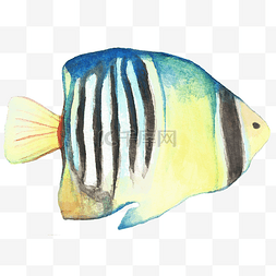 卡通手绘水彩鱼素材