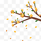 橘色树枝花瓣飘零动图
