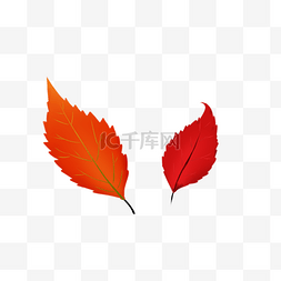 秋季海报背景素材图片_红叶落叶