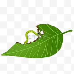 单片叶子元素图片_蚕吃桑叶手绘水彩叶子绿色植物