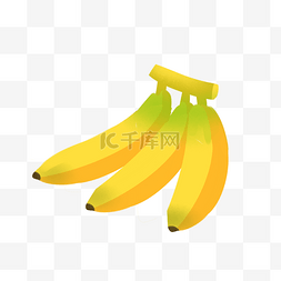 三根香蕉图片_三根一串青黄香蕉