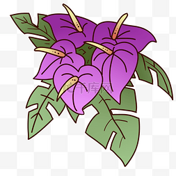 手绘开放的花朵图片_紫红色花朵