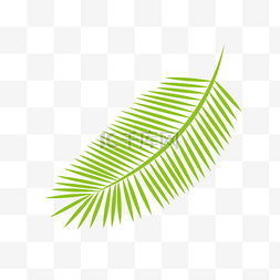 手绘树叶脉络图片_羽毛形状的绿色叶子的手绘设计图