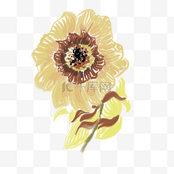 黄色花朵写实鲜花手绘