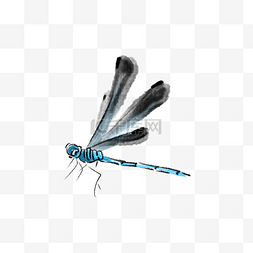 翅膀收拢的蜻蜓插画