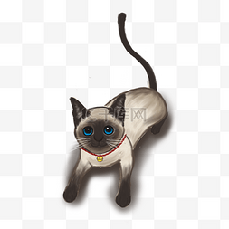 可爱手绘大眼睛图片_手绘可爱风格暹罗猫