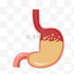 食物手绘食物图片_手绘人体器官胃插画