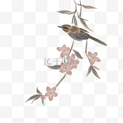 中国风粉色工笔装饰手绘花鸟