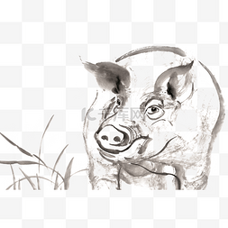 猪水墨画PNG免抠素材