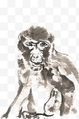 猿猴水墨画PNG免抠素材
