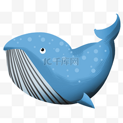 手绘海鲜鲸鱼插画