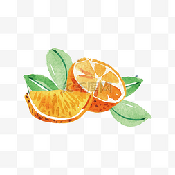 水果高清图片_手绘橘子水果免抠下载