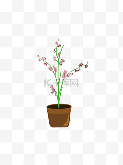 植物花卉盆栽图片_手绘植物花卉盆栽写实可商用元素