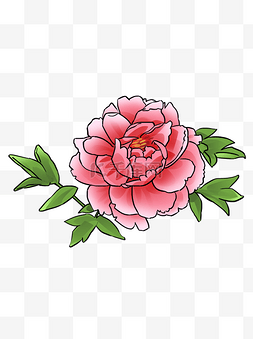 手绘花朵花朵图片_手绘粉红色牡丹花插画元素