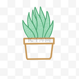 多肉植物盆栽PNG