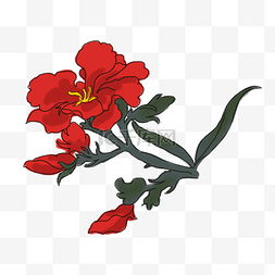 中国风手绘茶花卉插图