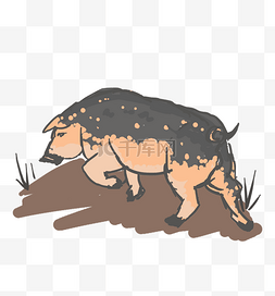 猪奔跑图片_野猪水墨画中国风国画猪猪插画下