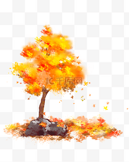树叶图片_立秋秋季红色枫树立秋节气