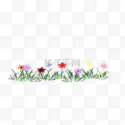 小花植物分割线插画