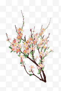 中国文化花图片_水墨樱花花开插画