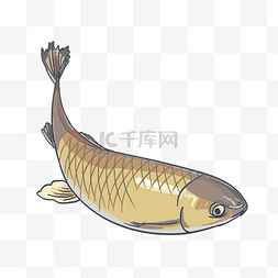 中华美食图章图片_手绘海鲜美食鱼插画