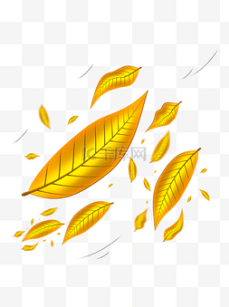 树叶图片_被风吹落的金黄色树叶